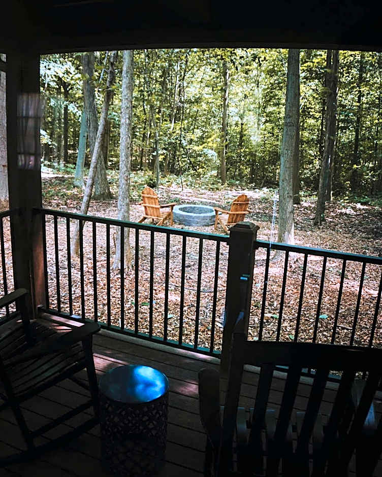 Vineyard Woods