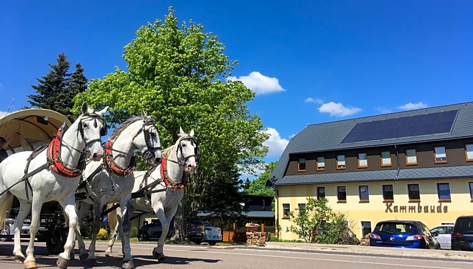 Hotel Dachsbaude & Kammbaude