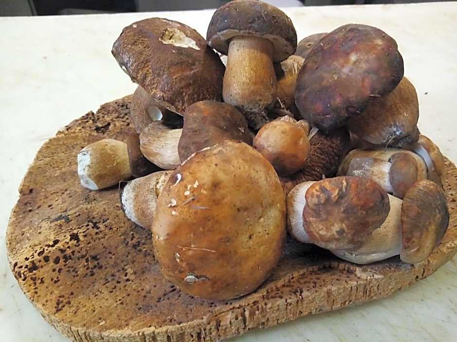 Hotel Ristorante Stella