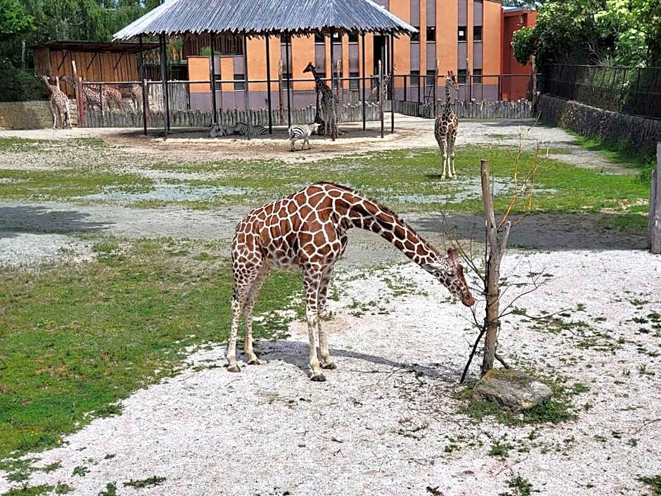 Hotel U Beránka Náchod