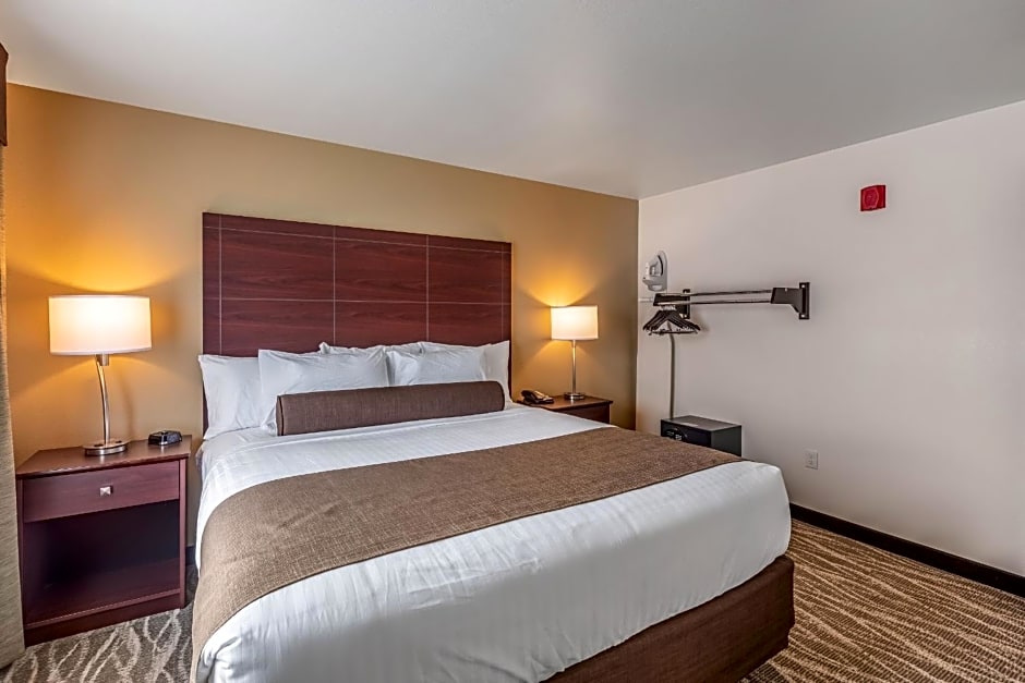 Cobblestone Hotel & Suites - Stevens Point