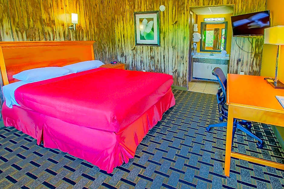 Tennessee Mountain Lodge Riverside by OYO