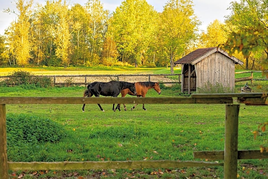 Chalet An der Brunnader-Ihr perfekter Rückzugsort in der Bayerischen Toskana-Überwiegend mit Klima-3Geh-Min zur Therme