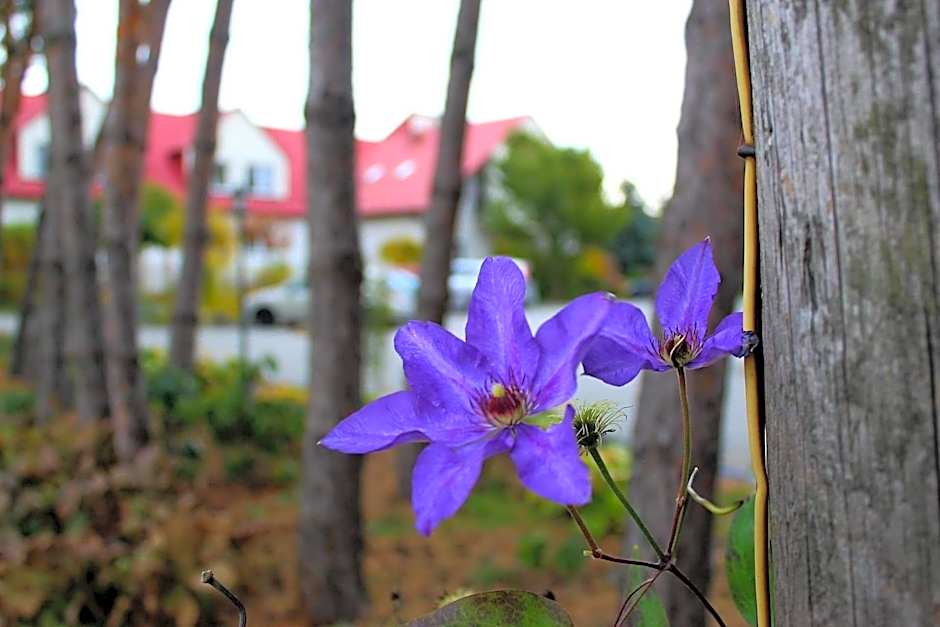Hotel Zabawa