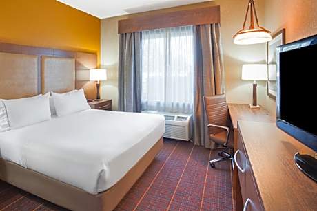 Queen Suite with One Bunk Bed