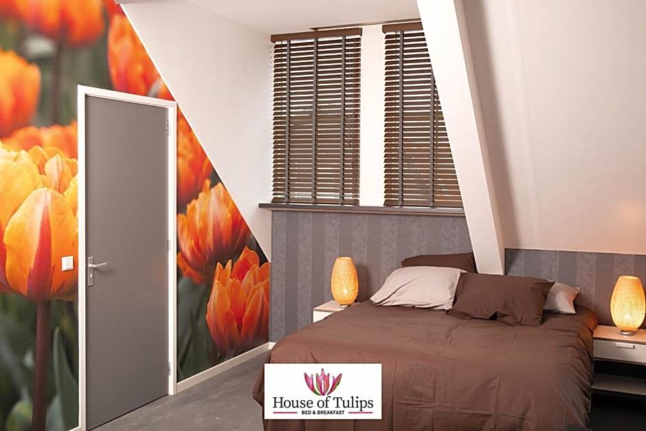 House of Tulips