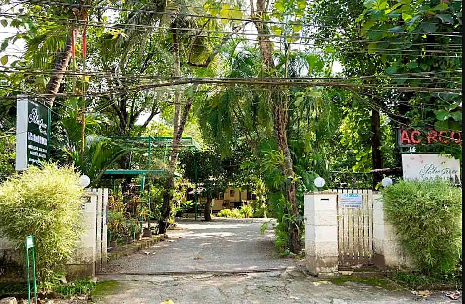 Palmgrove service villa