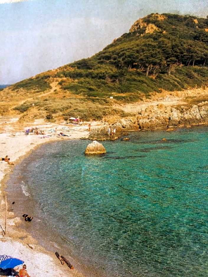 Clos des Vignes Pampelonne Vineyard