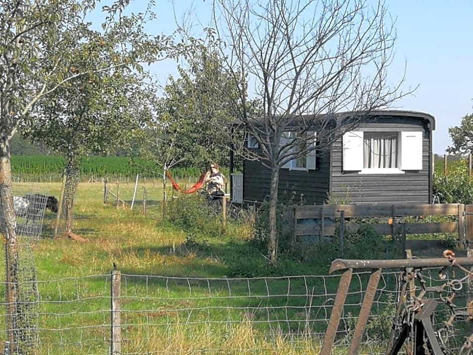 boerderijkamer Zwanebloem