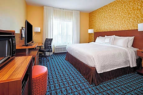 Room, 1 King Bed