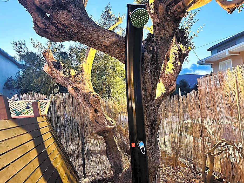 Royal Jelly Suites - Renovated Suites with Pool Just 5 Minutes walk from the Beach By Villa Mana Gers