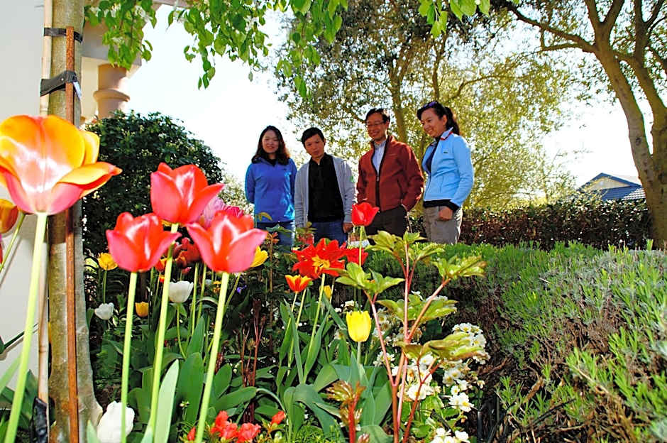 Olive House Bed and Breakfast