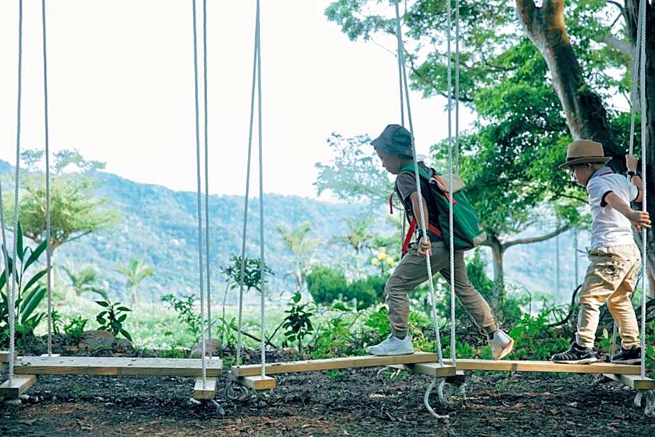 Green Wave Sanyi BY REINDEER