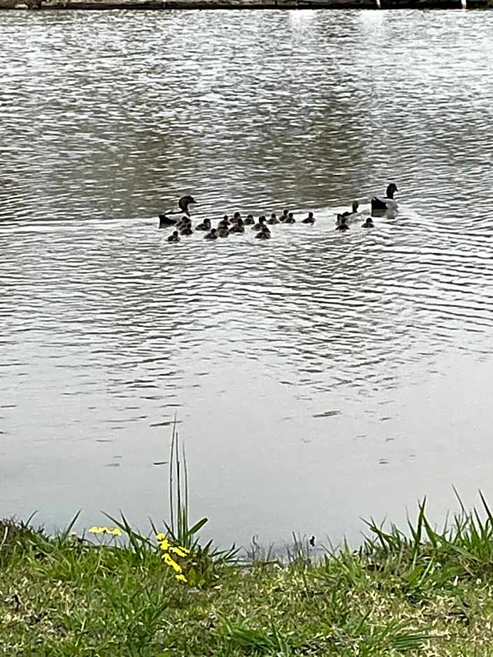 Australian Motor Home Tourist Park Twelve Mile Creek