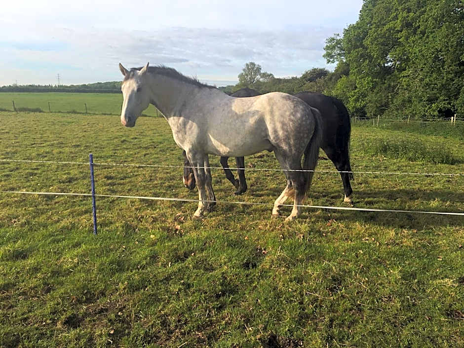 Bridleway Bed & Breakfast