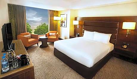 One-Bedroom King Suite