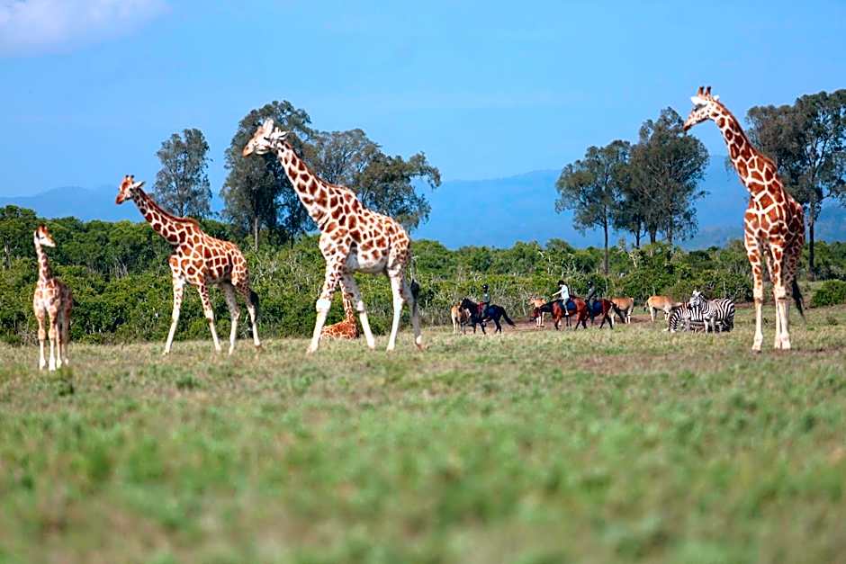 The Aberdare Country Club