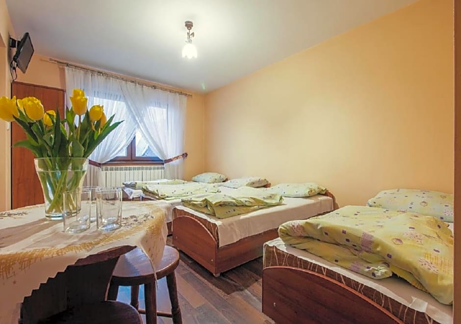 Apartamenty Willa Kamila Zakopane z Jacuzzi