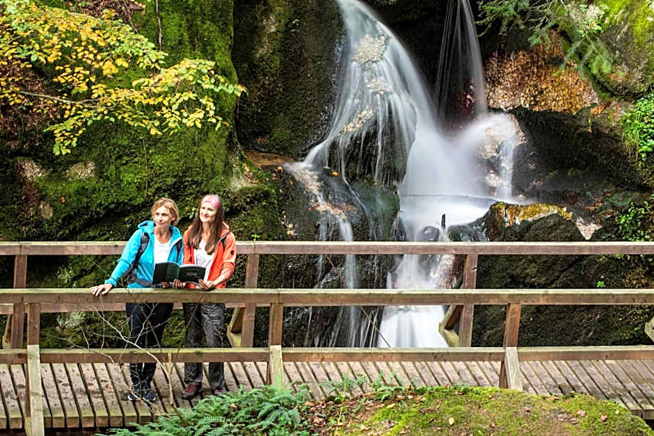 Schatz.Kammer Burg Kreuzen