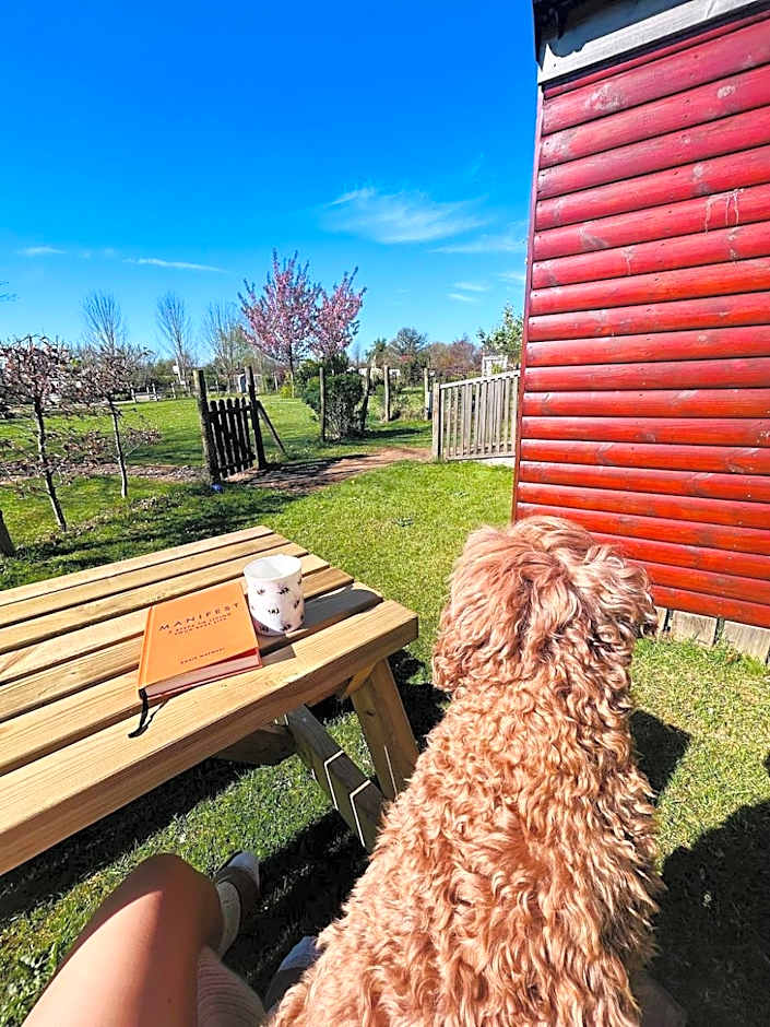 Cherry Tree Glamping