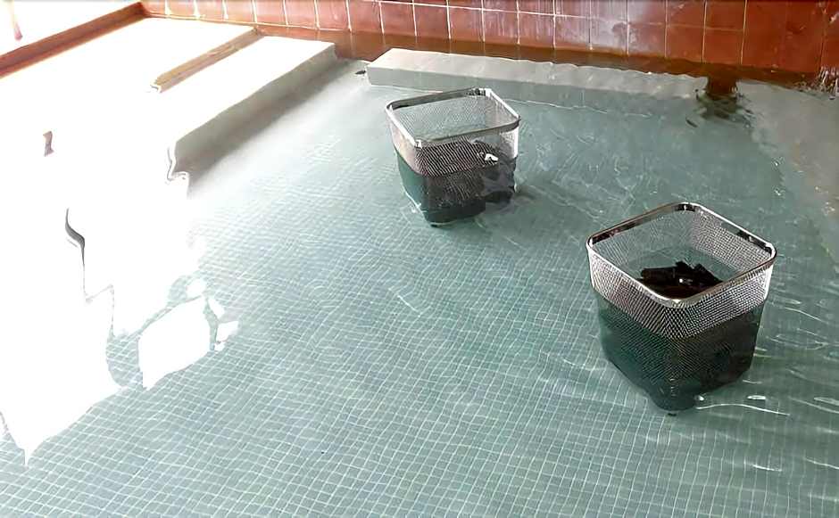 Tento no sato Hotel Honjin Abashiriko