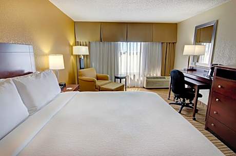 King Room - Mobility Access/Hearing Accessible