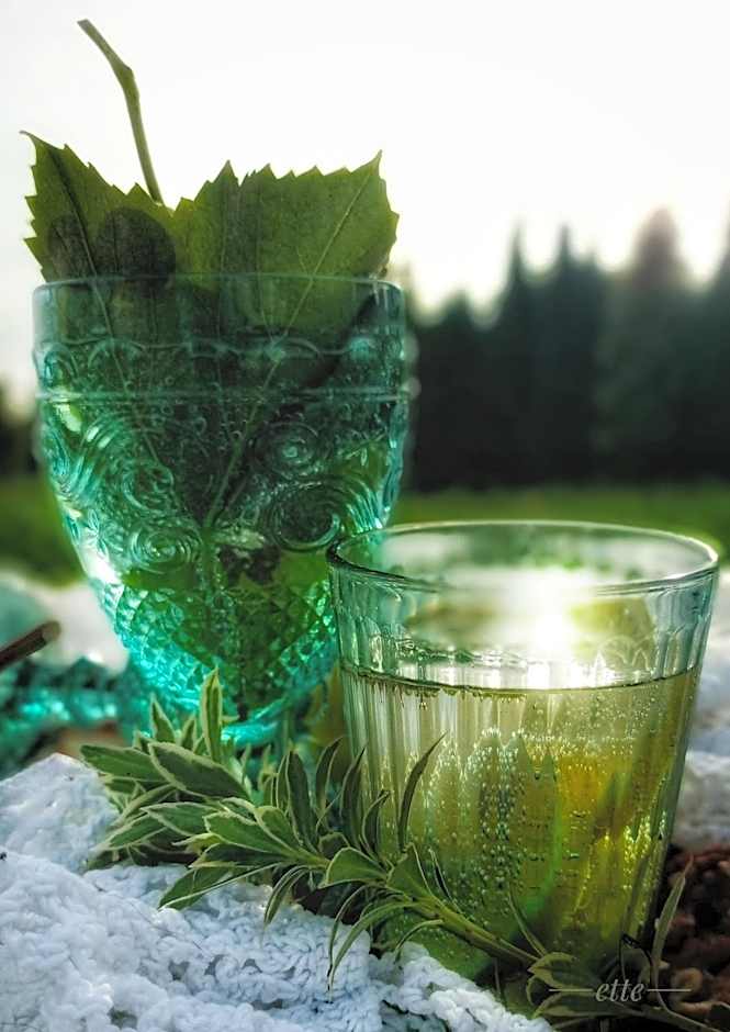 Kwitnące Jabłonie. Całoroczne Domki Wypoczynkowe