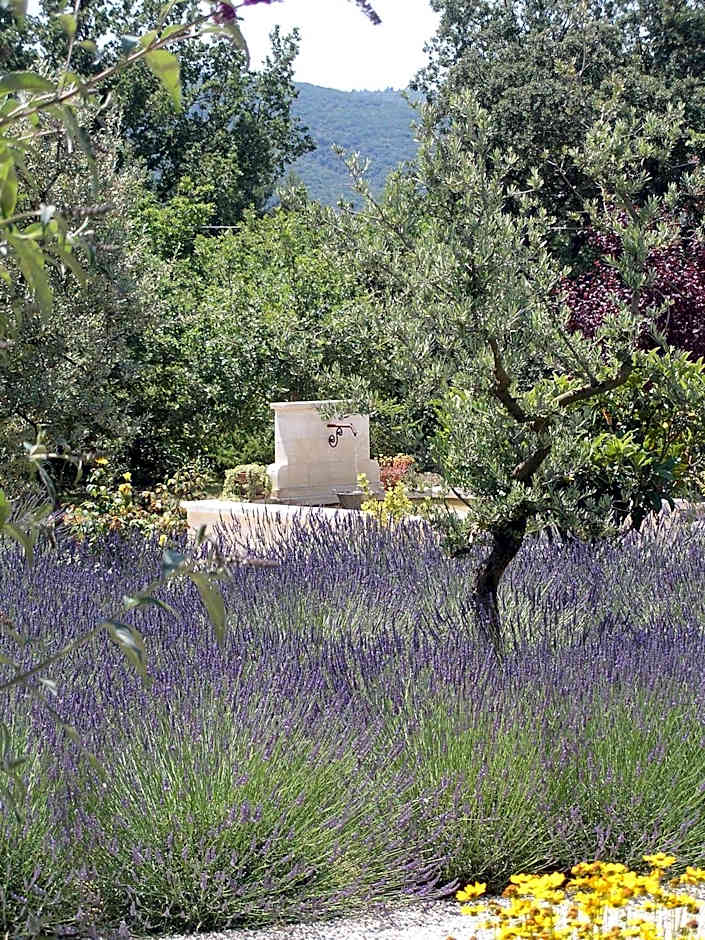 Clos des Lavandes - Chambres et Suites de charme climatisées-Luberon
