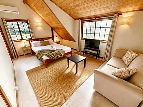 Little Size French Room