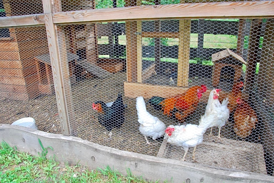 B&B dalla fattoria della Patty