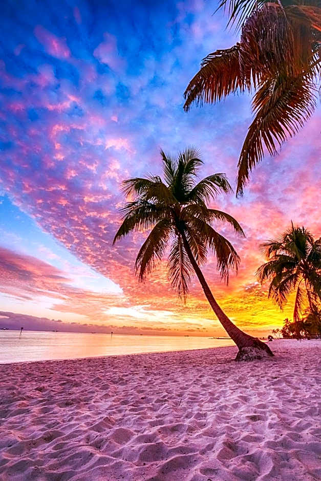 Pousada Suites at Hollywood Beach