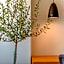 Naves Suites