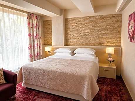 Standard Room without balcony