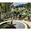 Majeka House Boutique Hotel by The Living Journey Collection