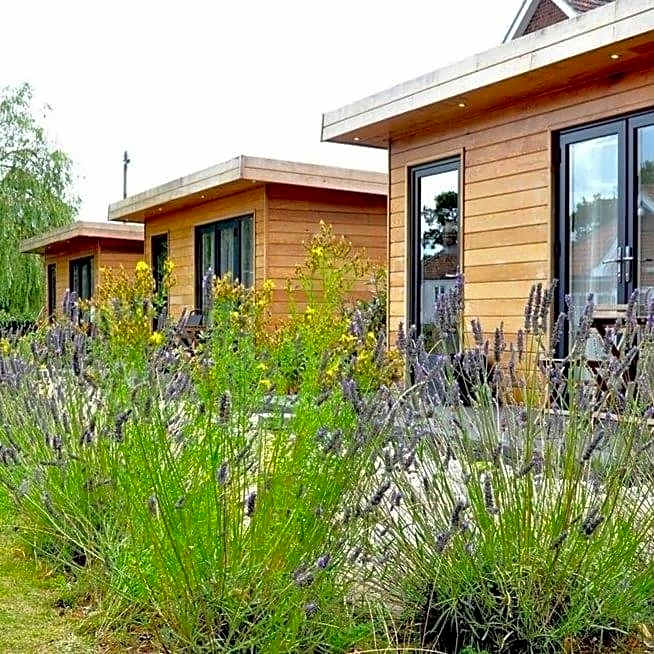 The Kings Arms - Fleggburgh