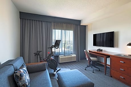 One-Bedroom King Suite
