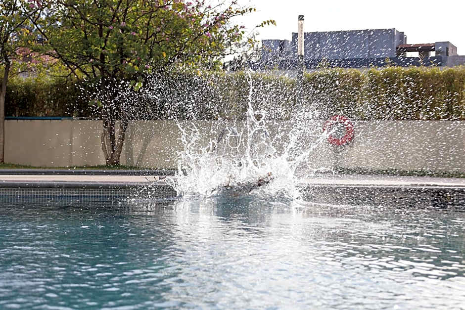 Holiday Inn Express Guadalajara Expo By IHG