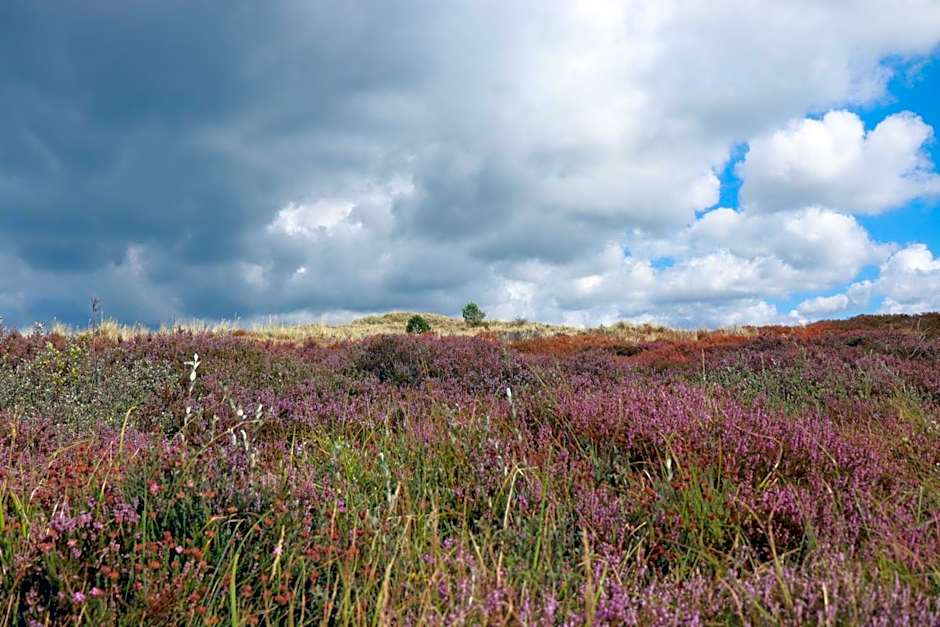 Hoeve te Gast - vakantieboerderij
