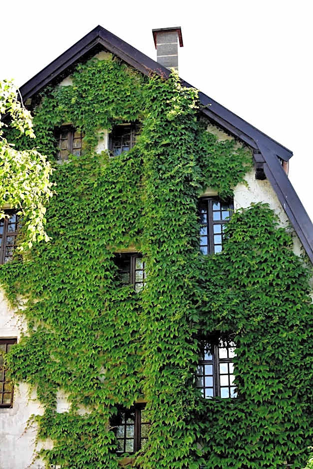 Hostel Przy Targu Rybnym