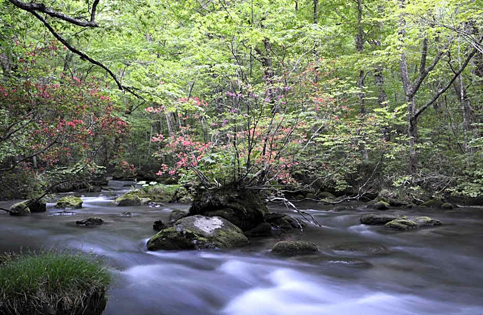 Oirase Guest house KEIGETSU