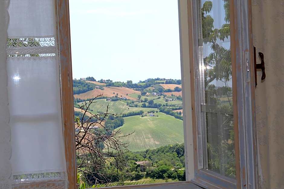 Angela Garden