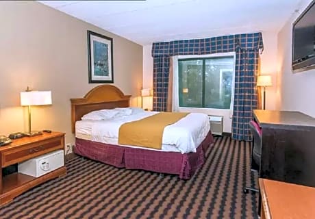 Standard 1 Queen Bed Non Smoking