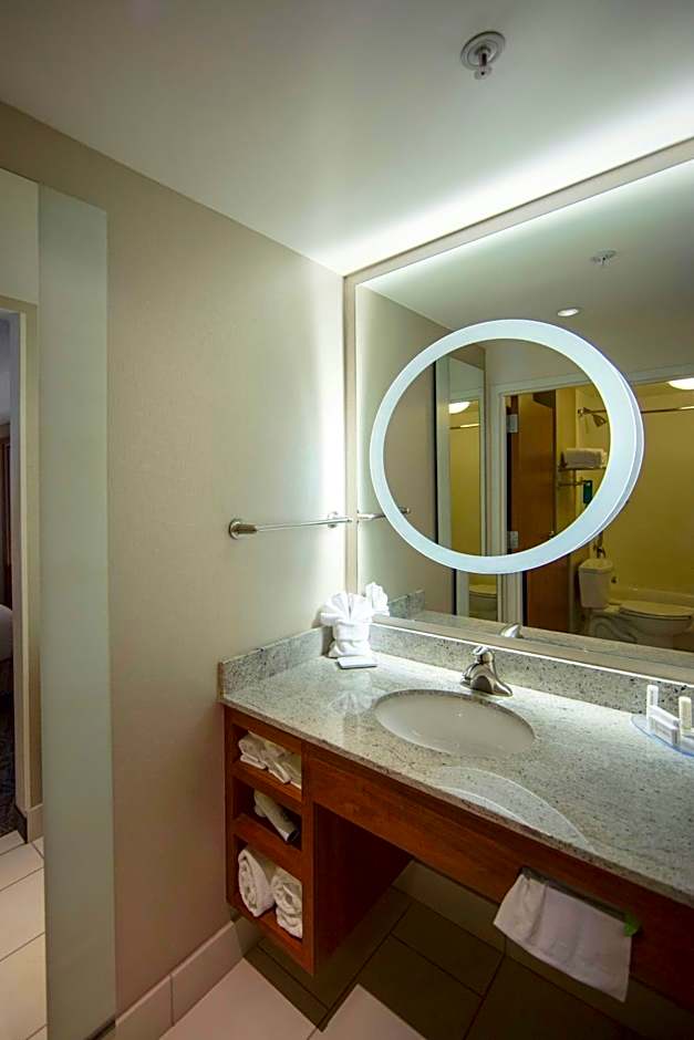 SpringHill Suites by Marriott Athens West