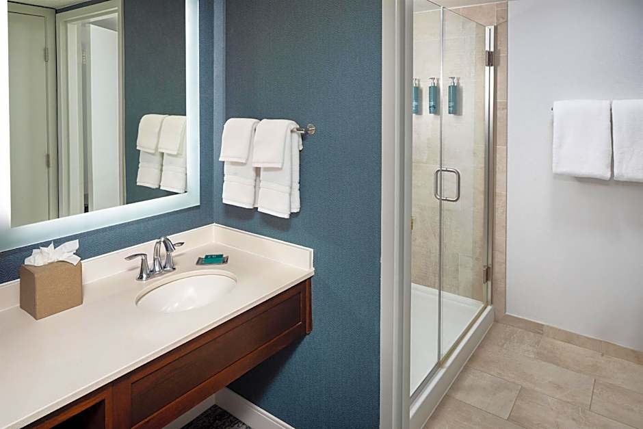Photo 1 of 8 of 1 King Bed Suite, Hearing Accessible
