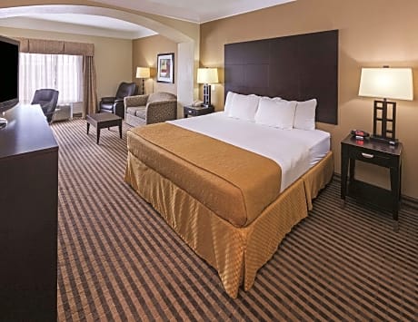 1 King Bed Executive Room Non-Smoking