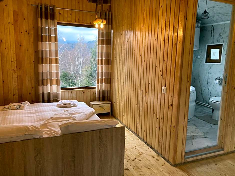 Cabana doi mesteceni