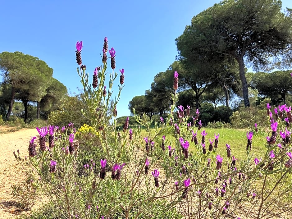 VILLA DE LA LUZ Luxury Guesthouse