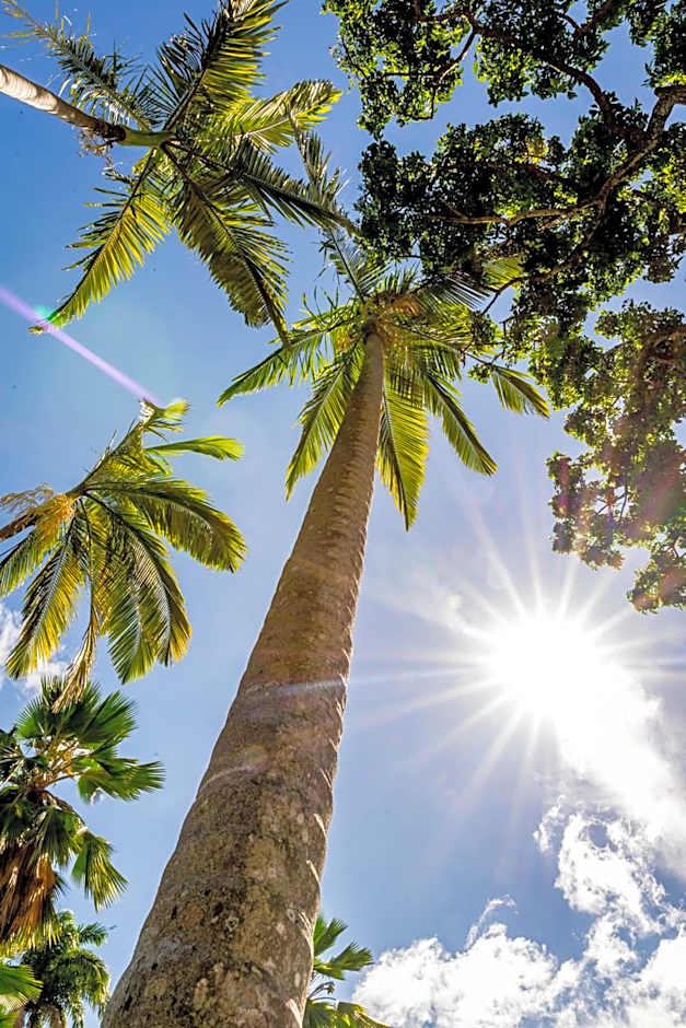 Residence Fort Savane