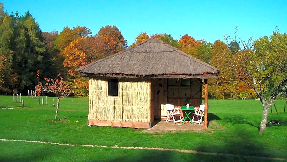 La Clairière du Verbamont