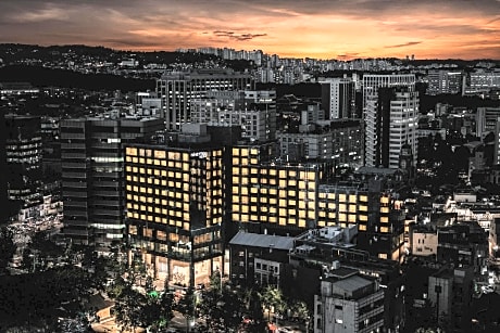 Nine Tree by Parnas Seoul Insadong